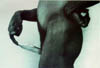 Cuchillo